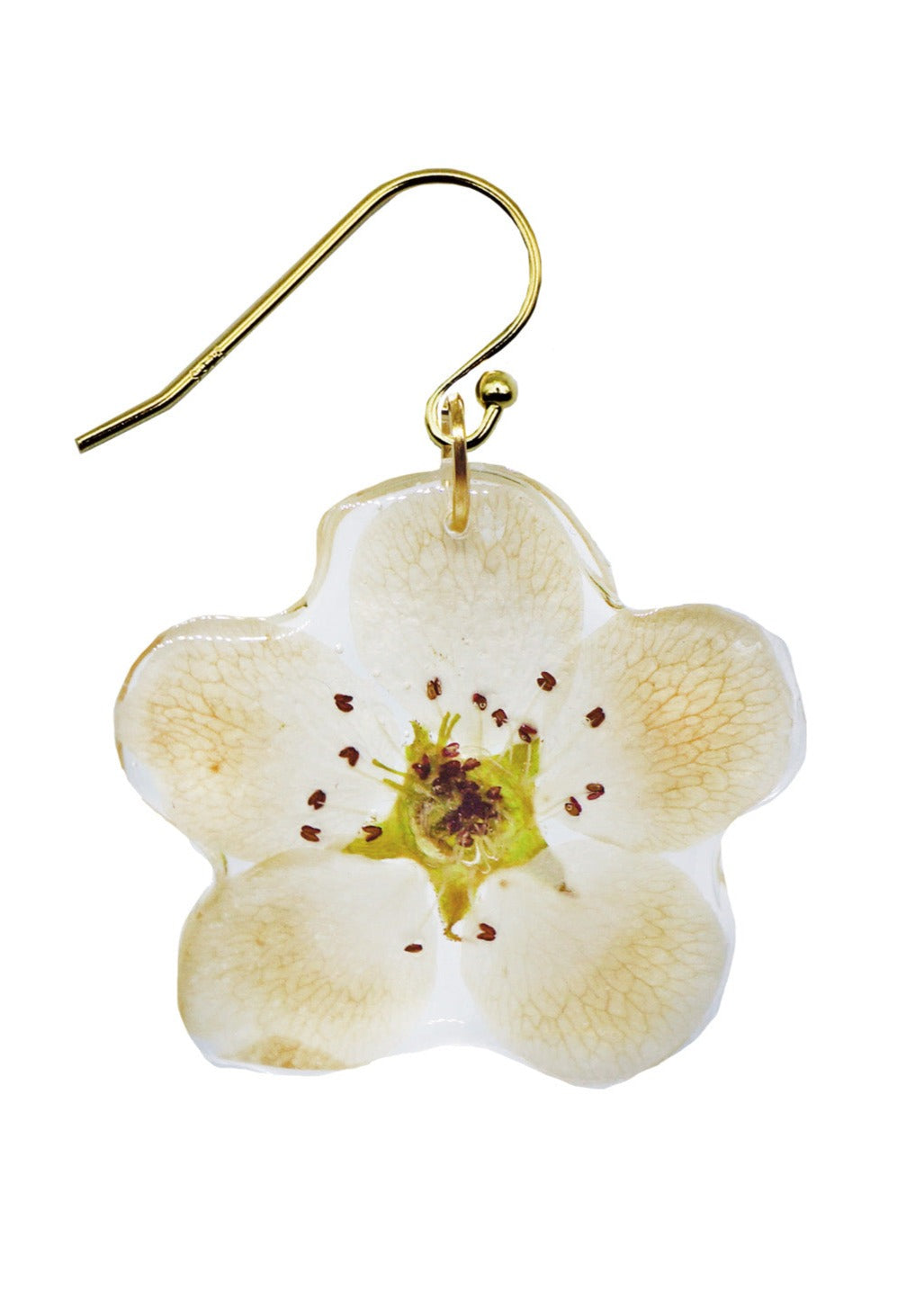 Korean Pear Blossom