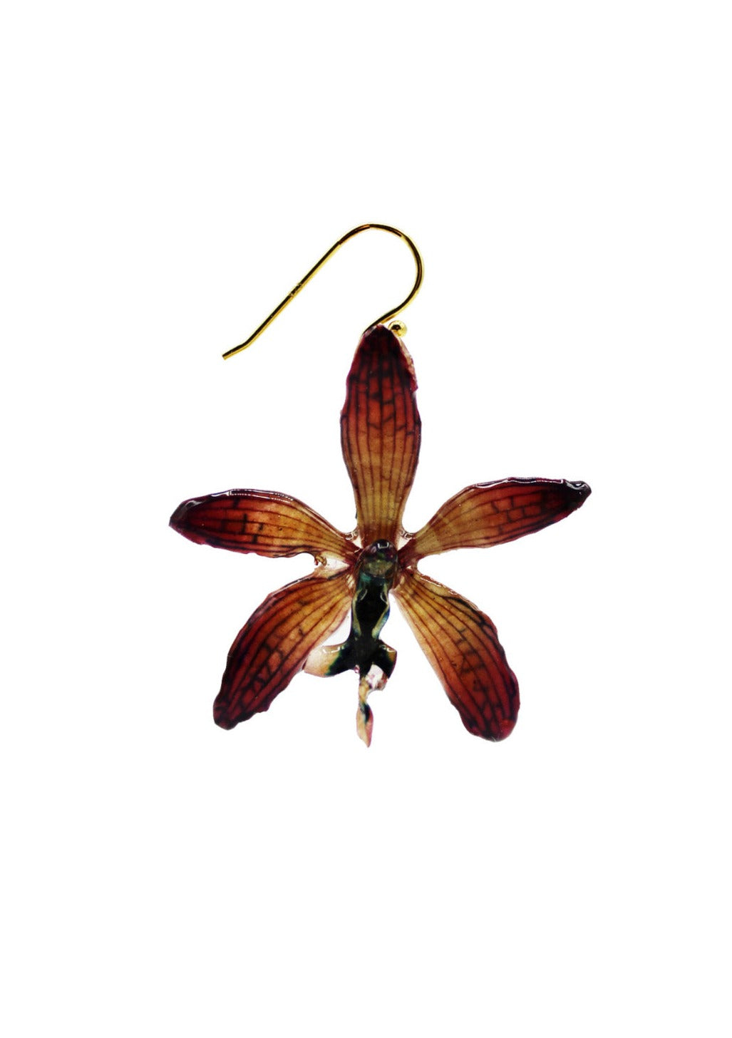 Violet tiger orchid preserved in tree resin.