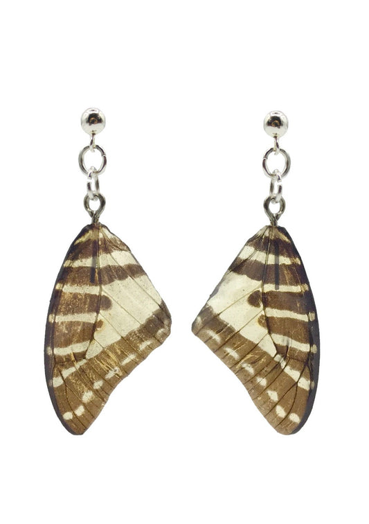 Resin coated grey and white butterfly wing on dangly stud earrings.