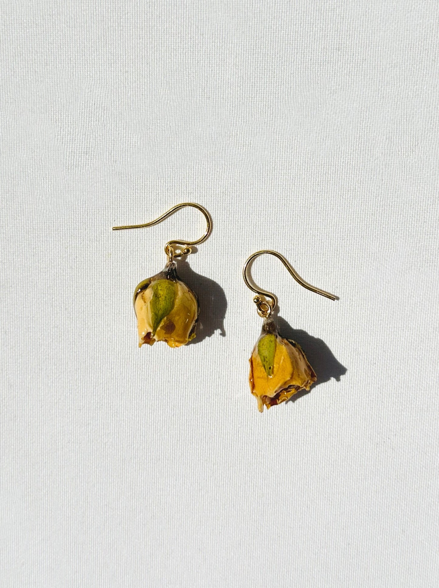 Buttercup Rosebud (Single)