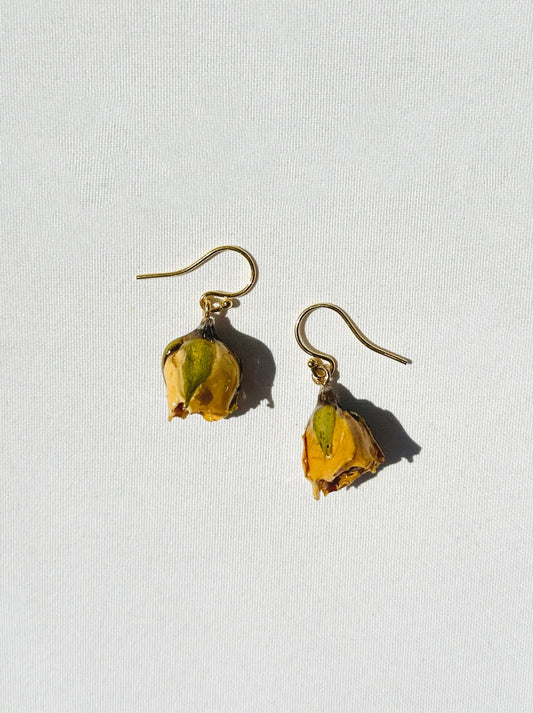 Buttercup Rosebud (Single)
