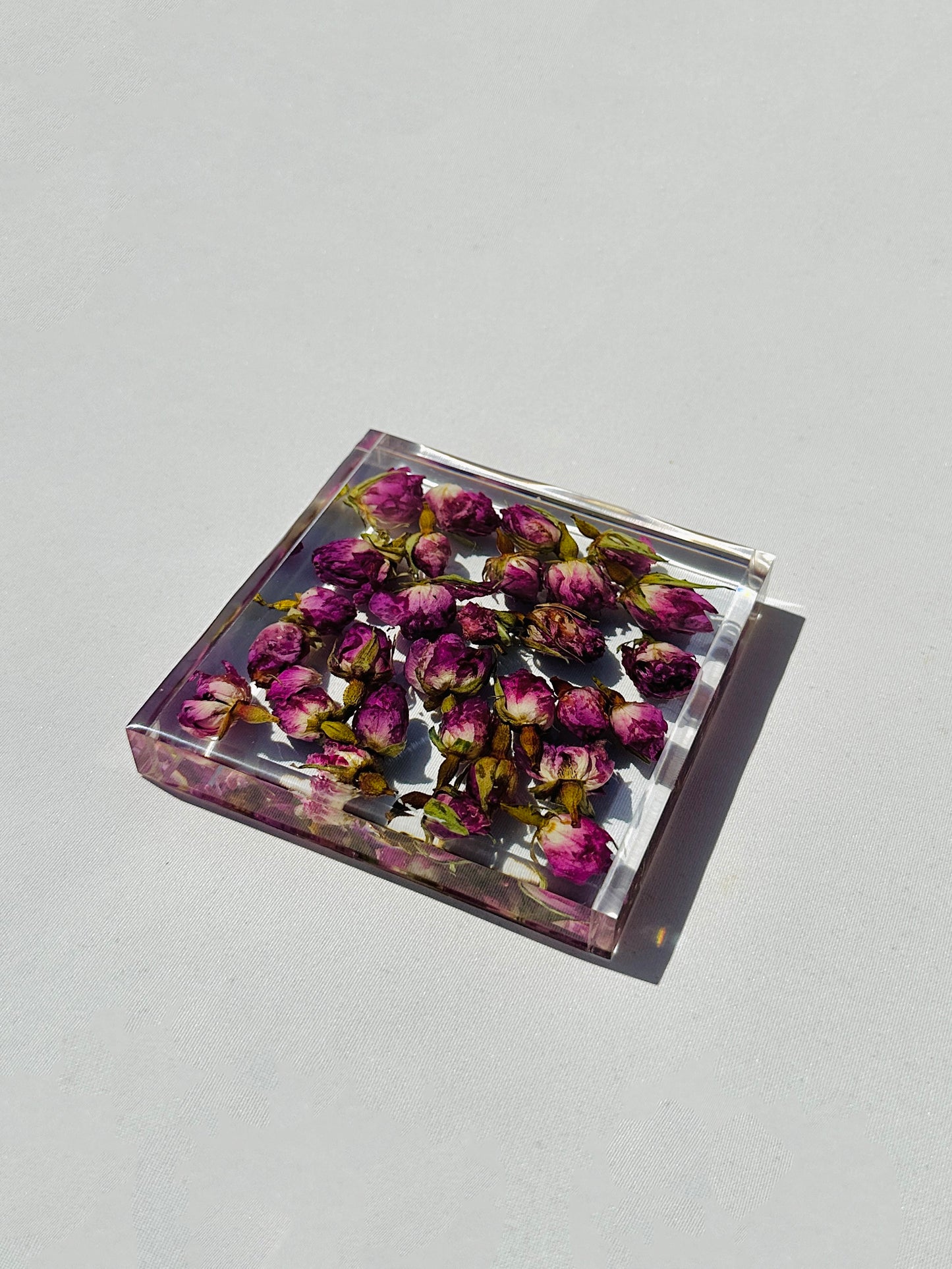 Rose Garden Coaster