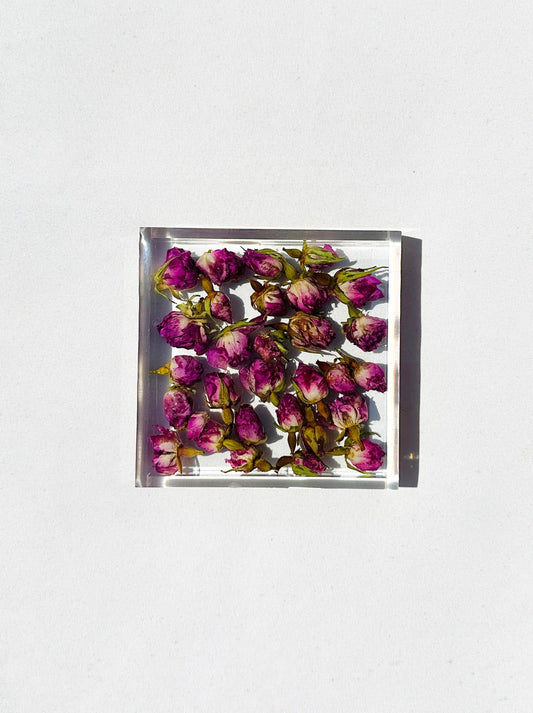 Rose Garden Coaster