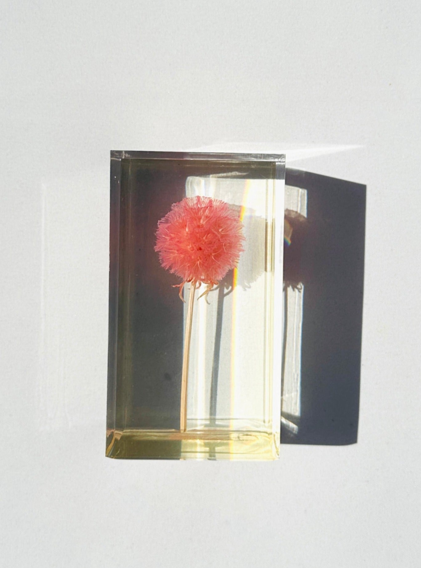 Pristimera Crystal
