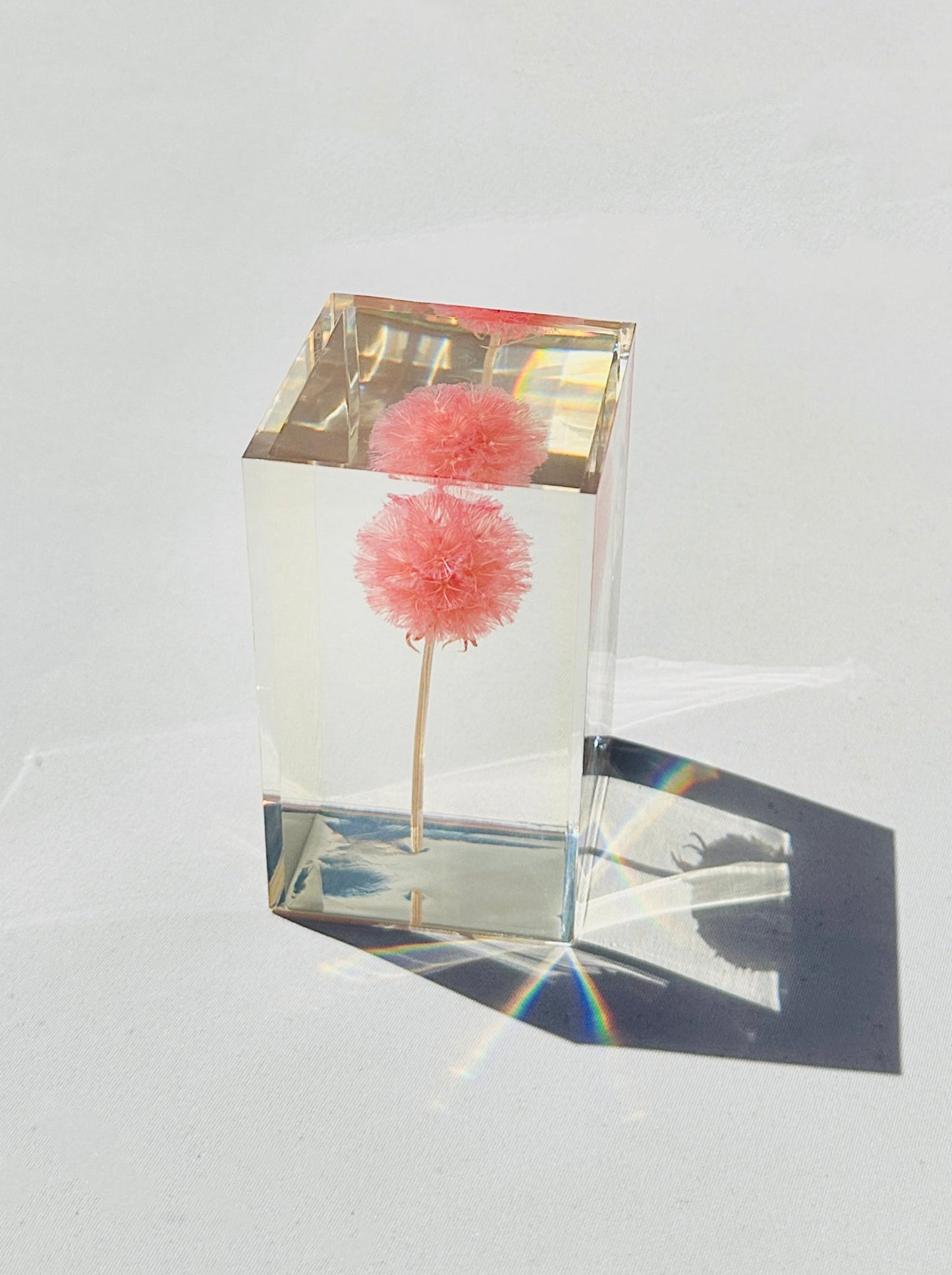 Pristimera Crystal
