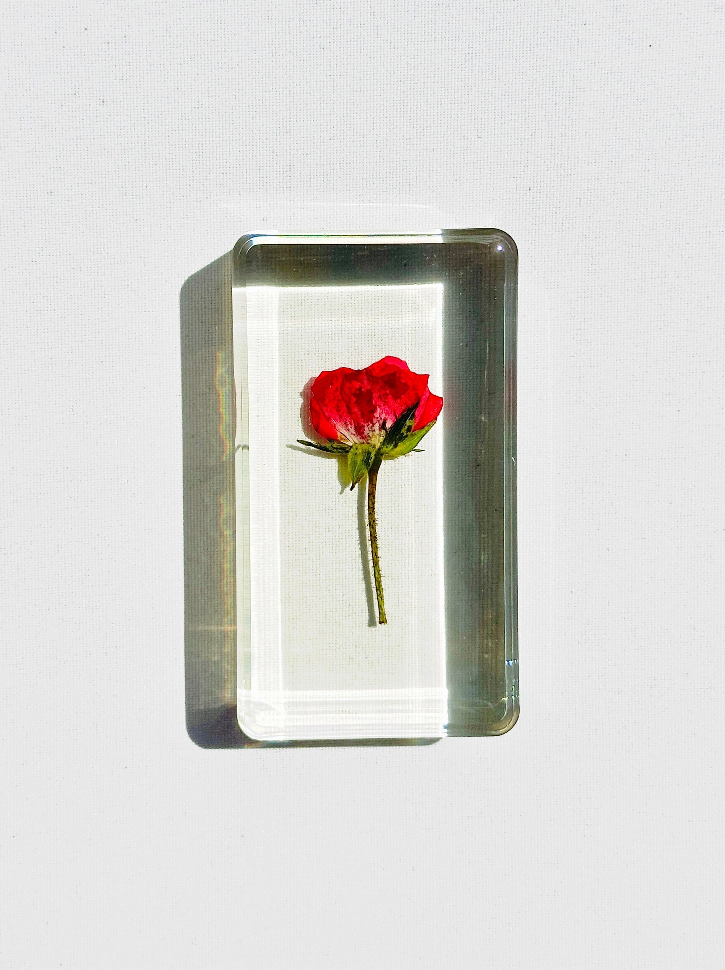 Rosalia Crystal