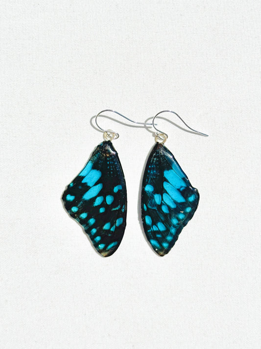 Sky Mariposa (Pair)