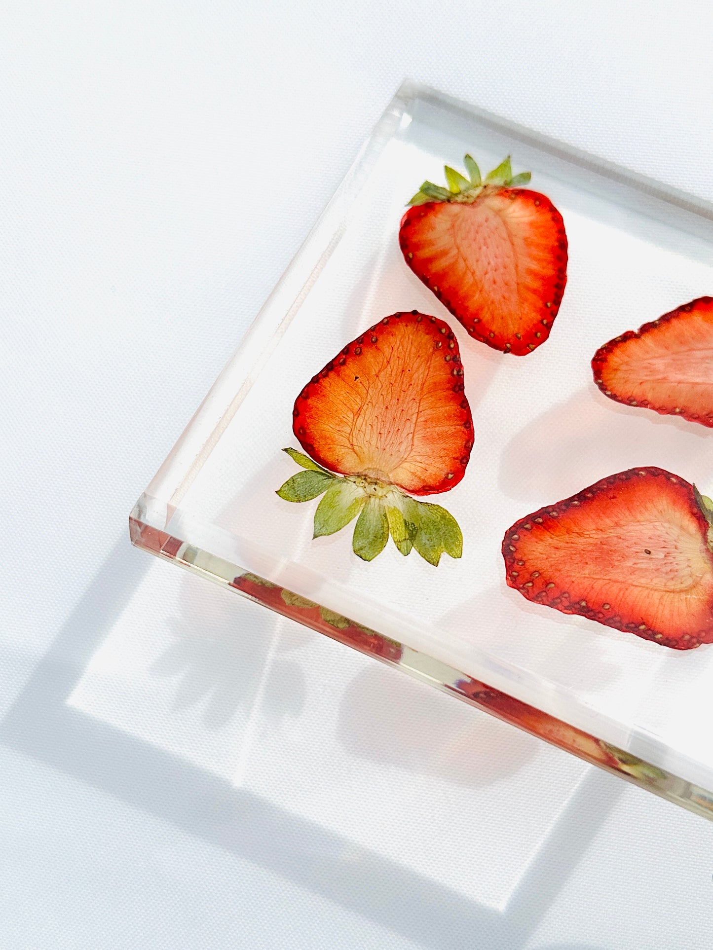 Strawberry Coaster