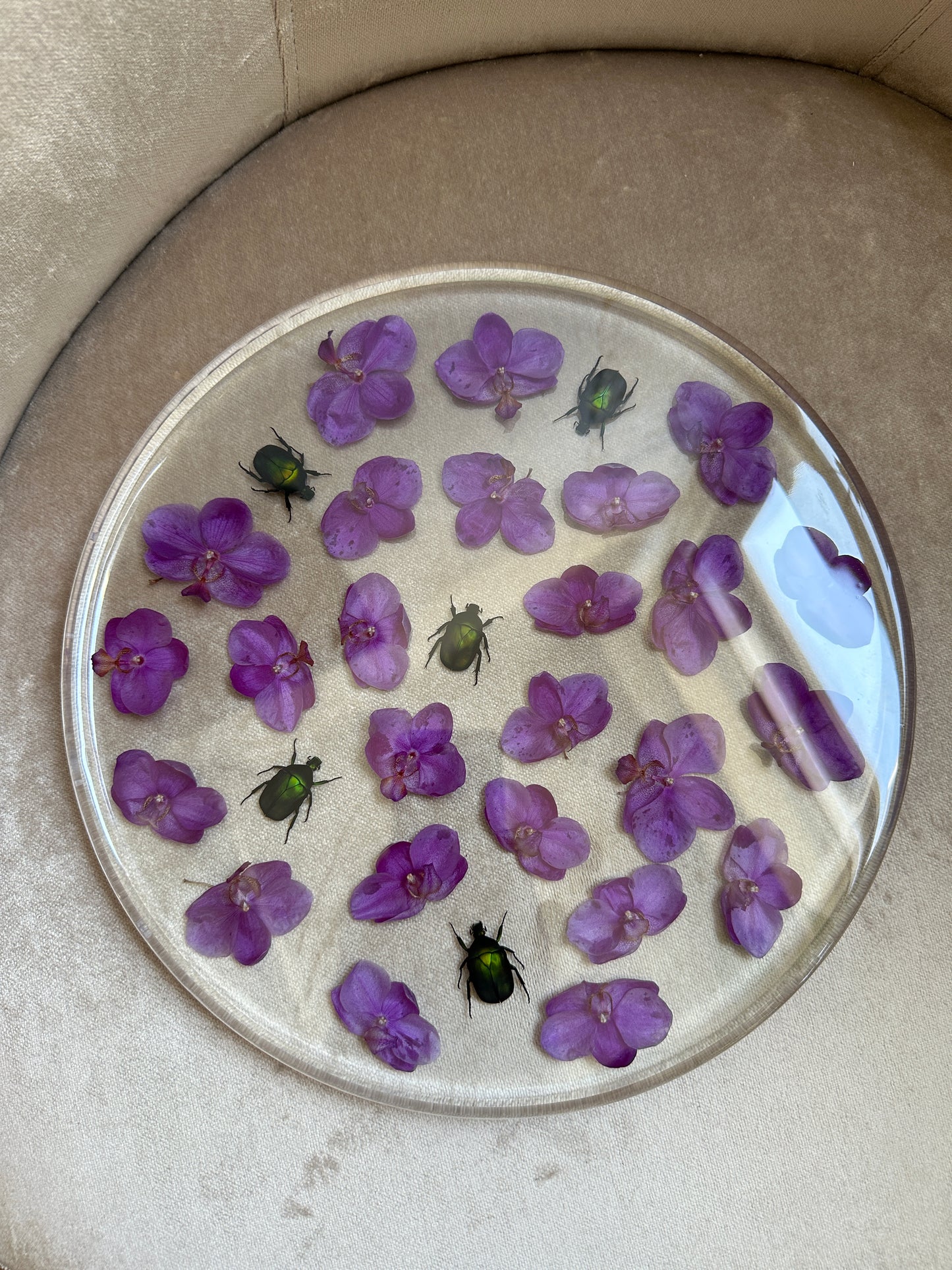 Orchids & Beetles Round Tray