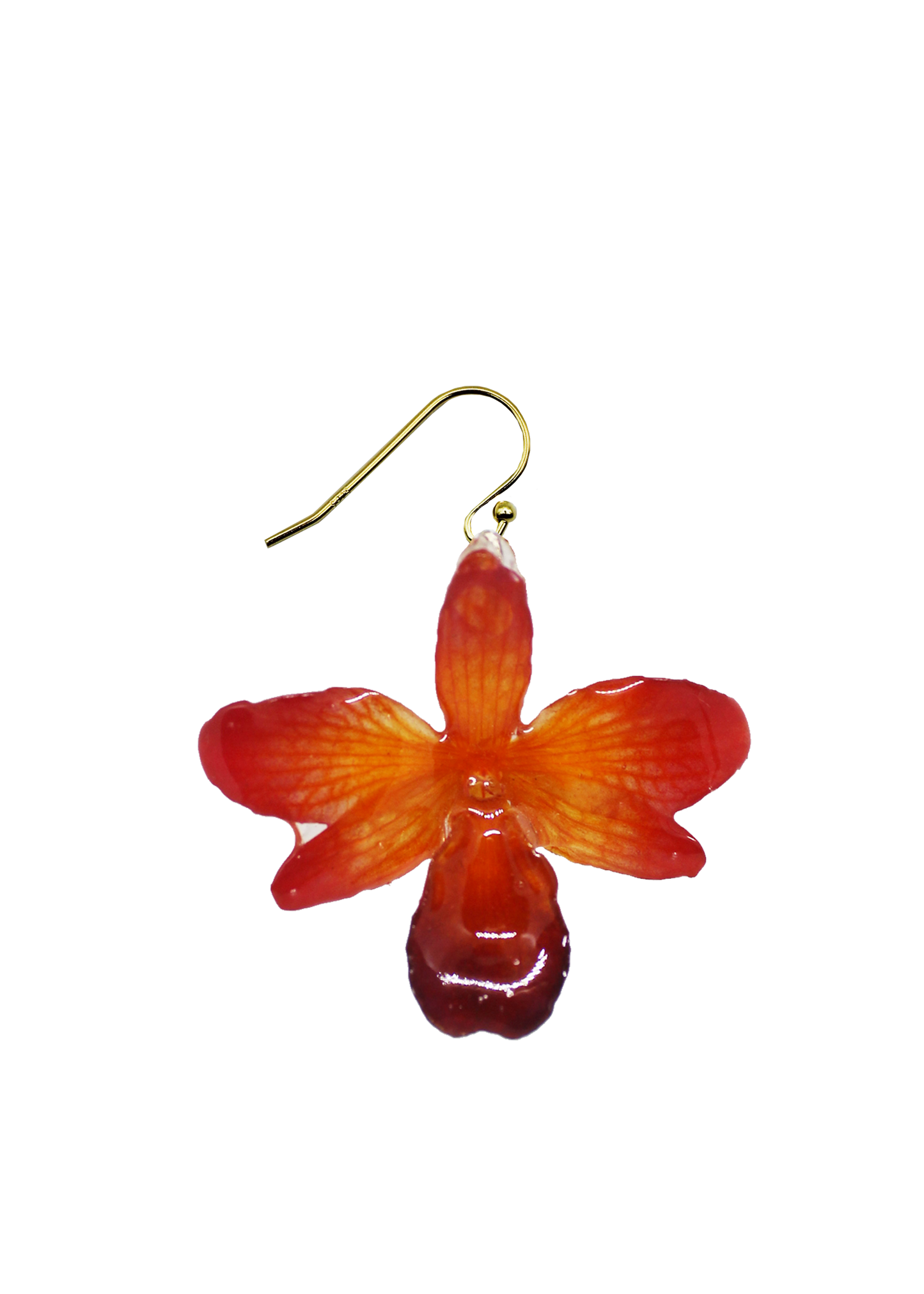 Paloma Orchid