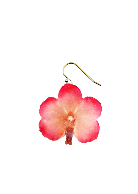 Glow Pink Mini Orchid