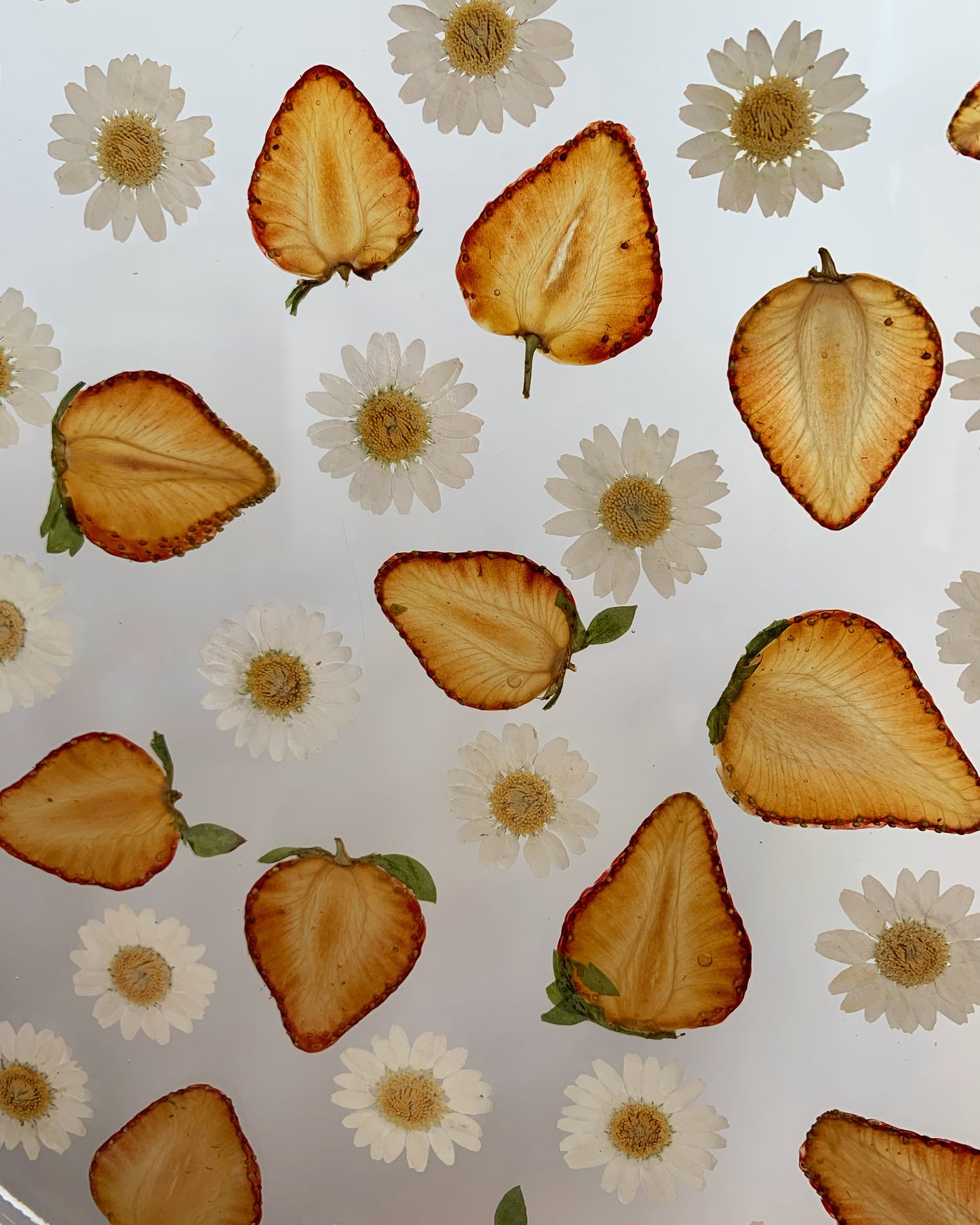 Strawberry & Daisy Round Tray