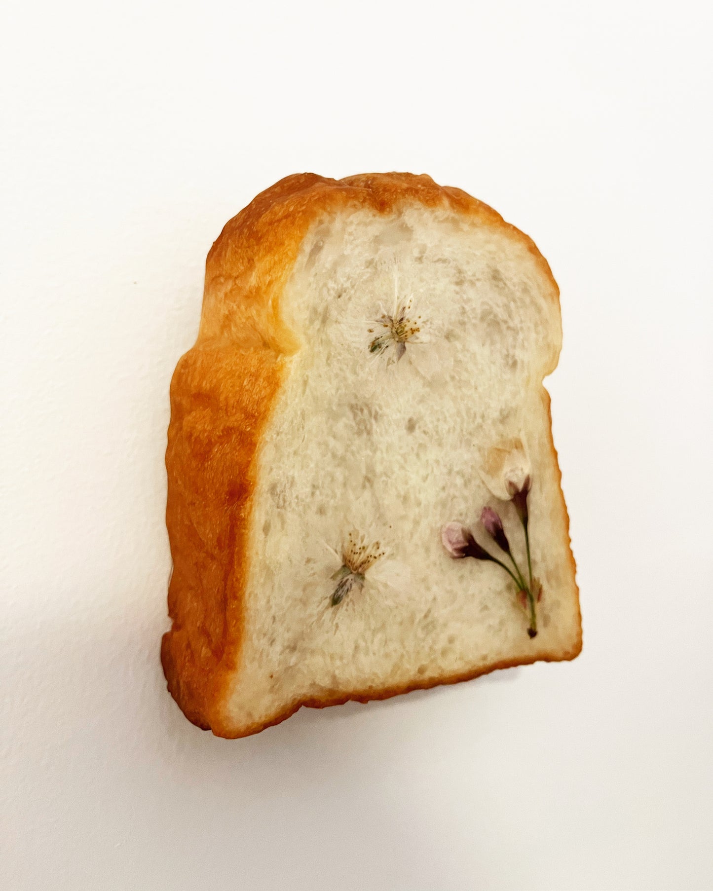 Sakura Milk Toast Lamp