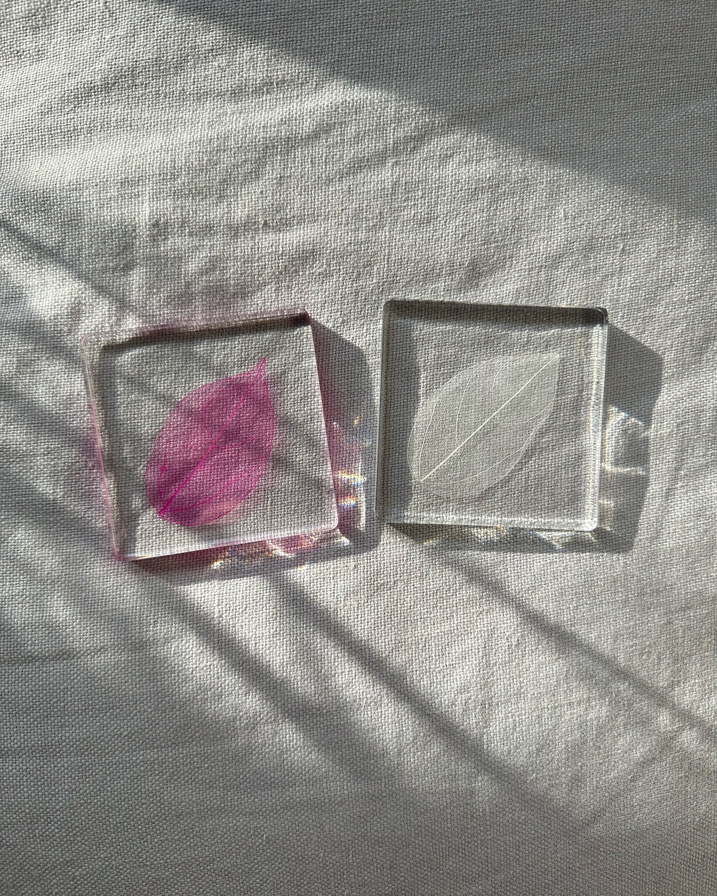 Magnolia Leaf Coasters