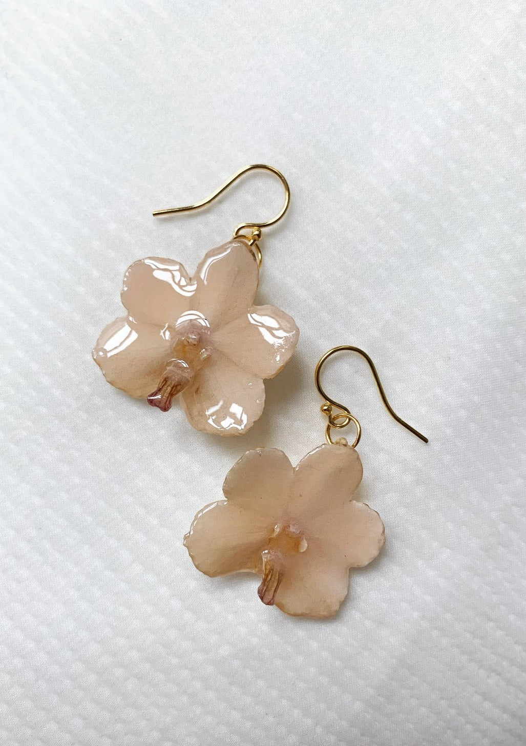 Dainty Silk orchid preserved in tree resin.