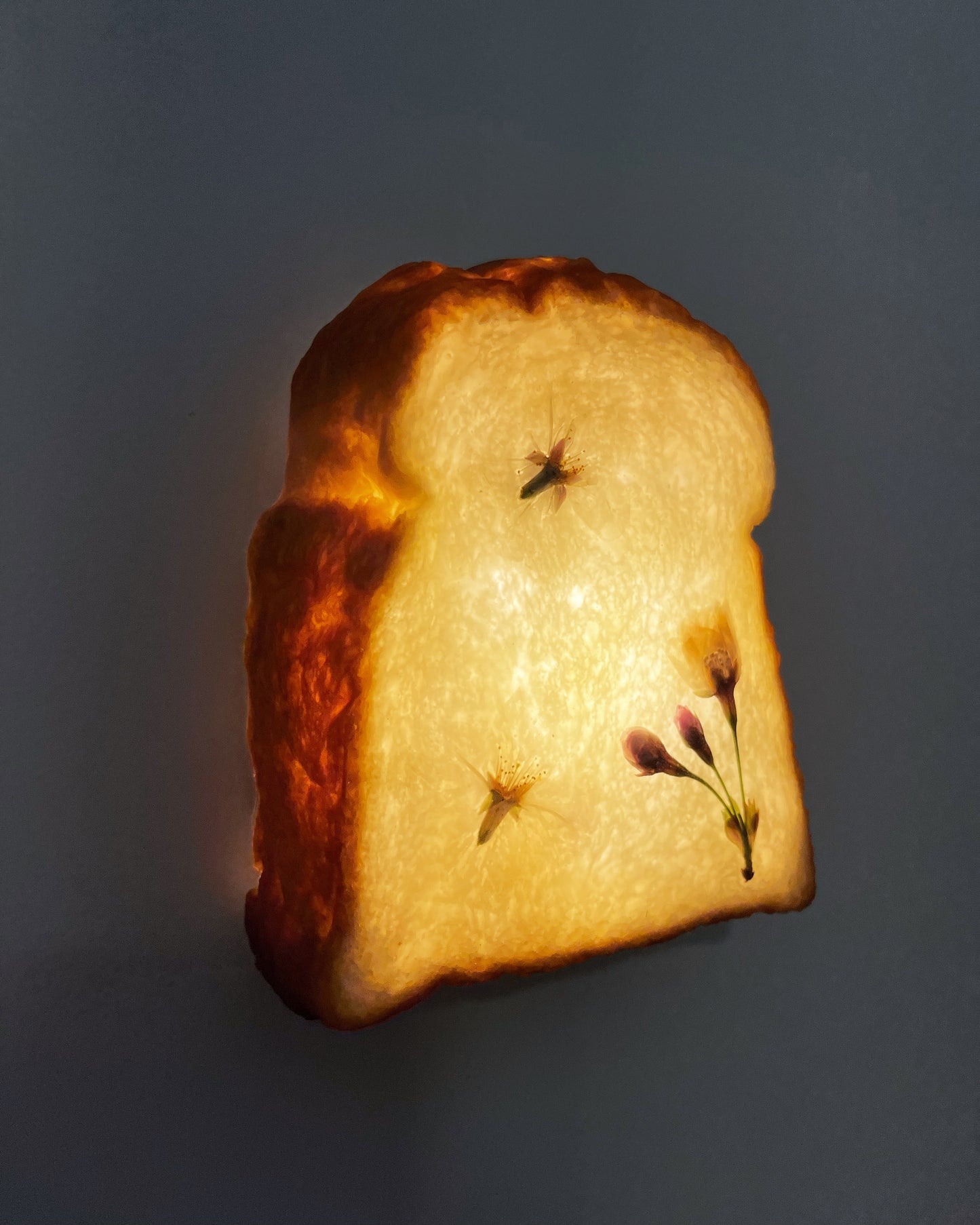 Sakura Milk Toast Lamp