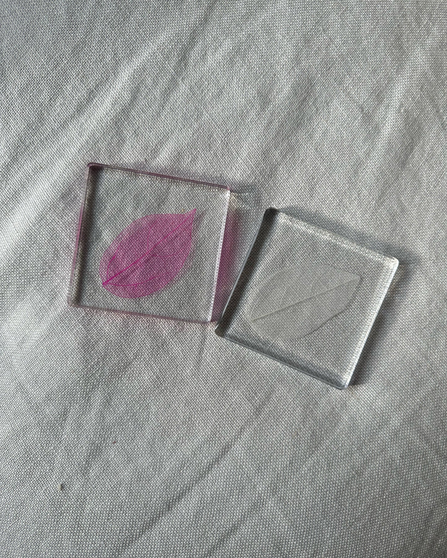 Magnolia Leaf Coasters