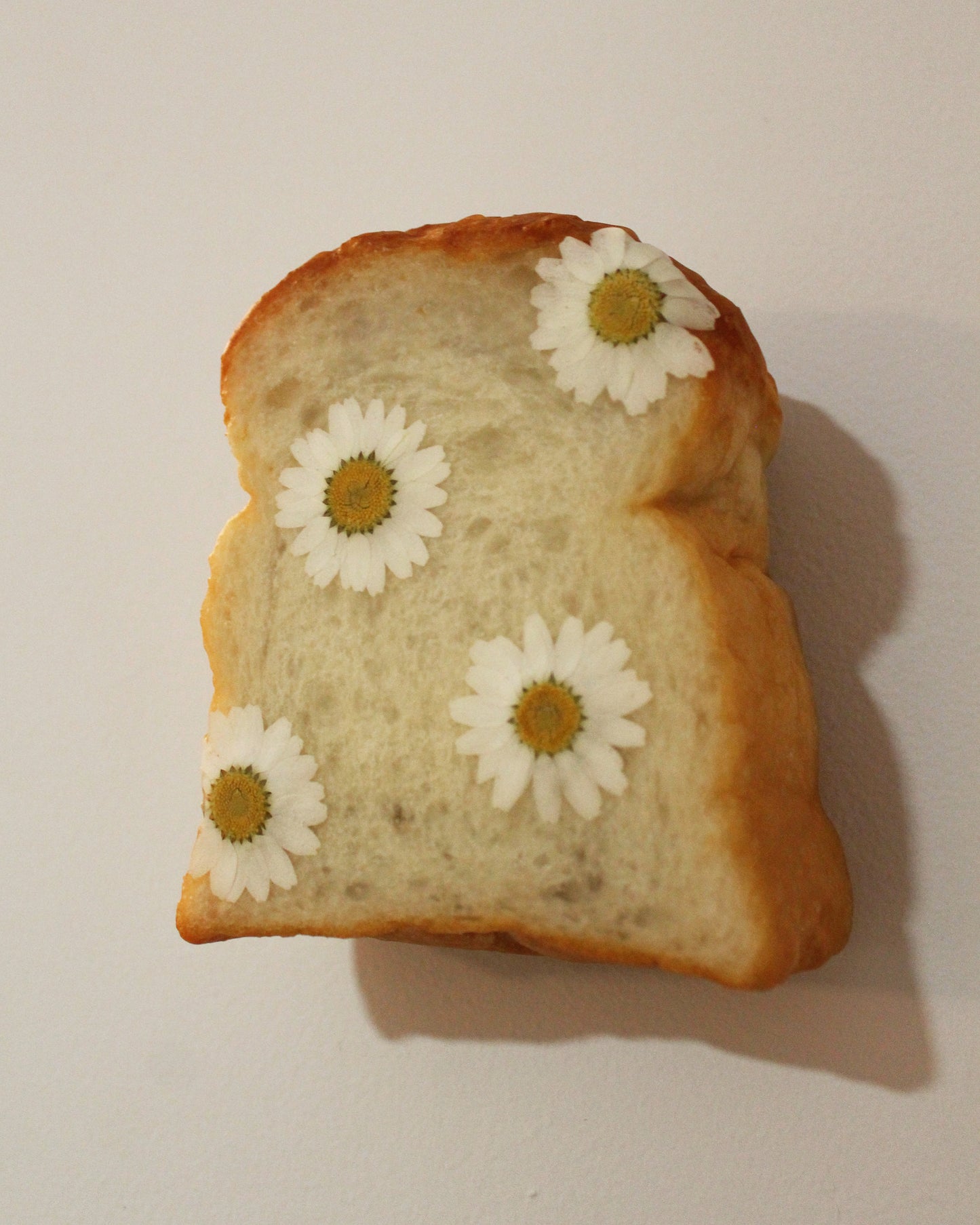 Daisy Milk Toast Lamp