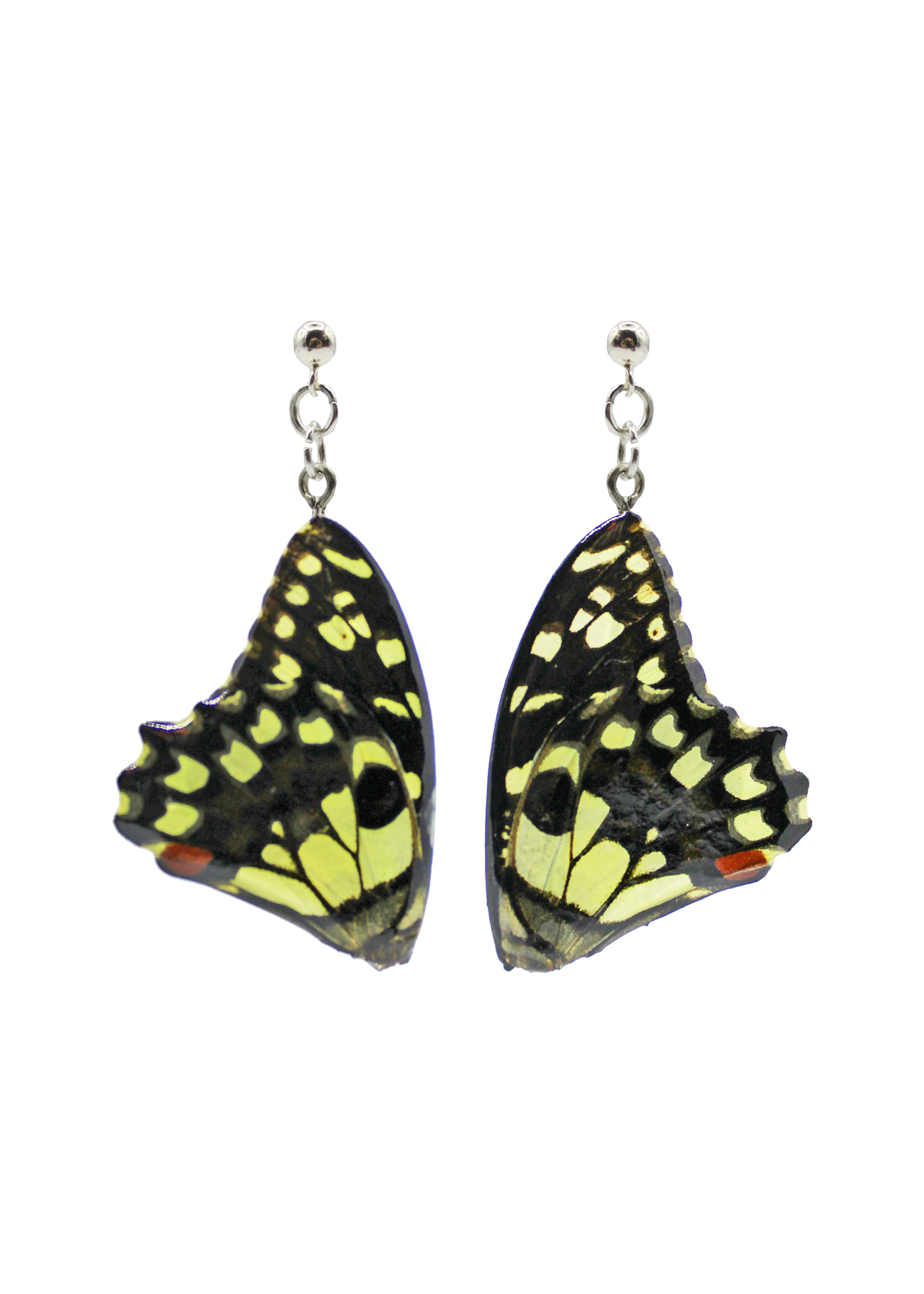 Citron Mariposa