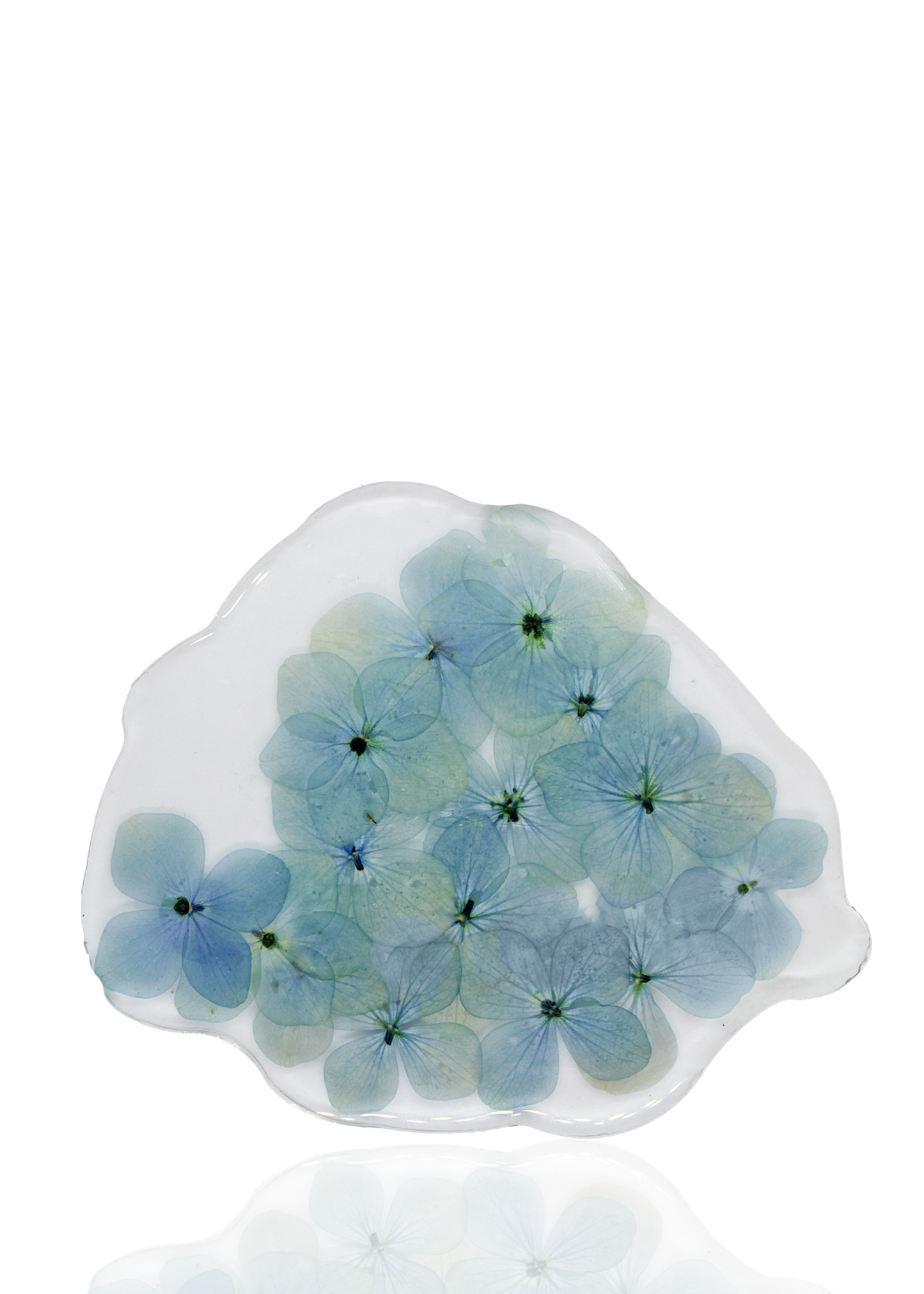 Baby Blue Cloud Coaster