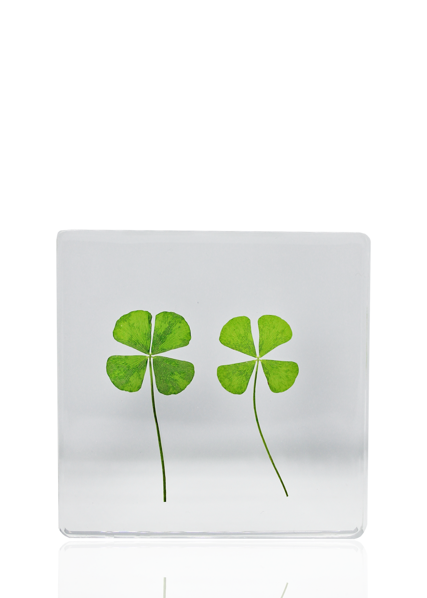 Two suspended four-leaf clovers. Stand it up for display purposes or use as a coaster. Approximately 3" x 3".