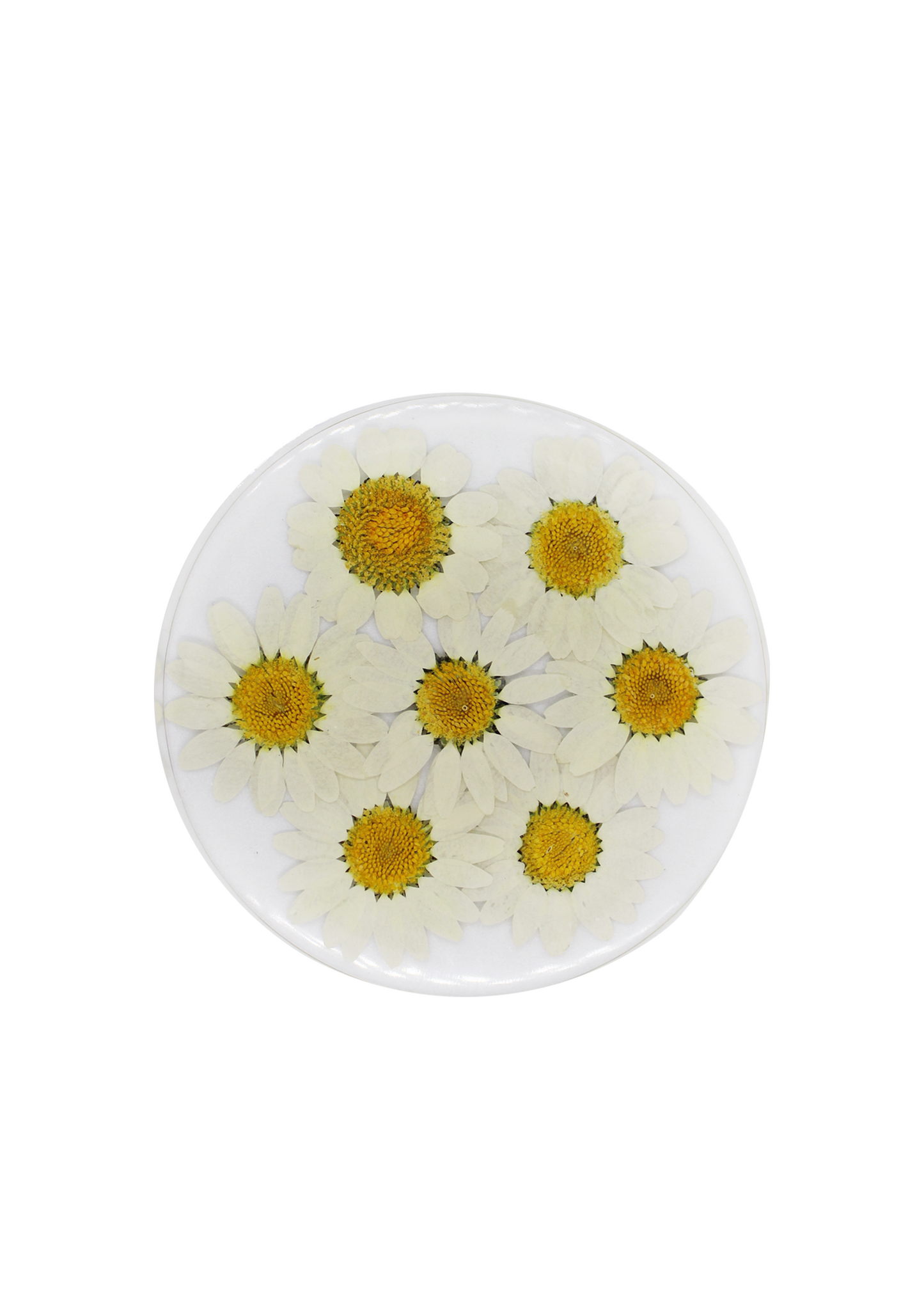 Mini Daisy Coaster