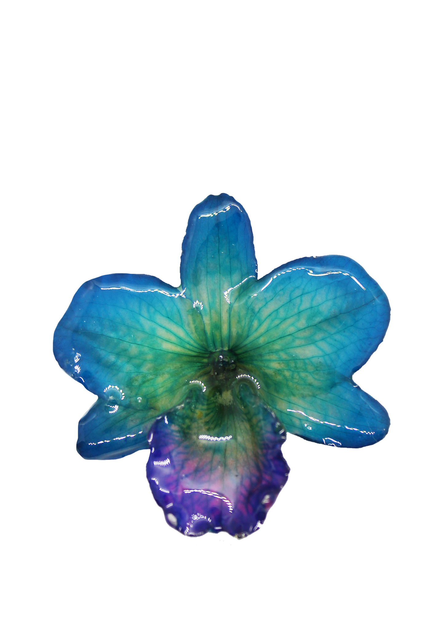 Ocean Orchid Pendant
