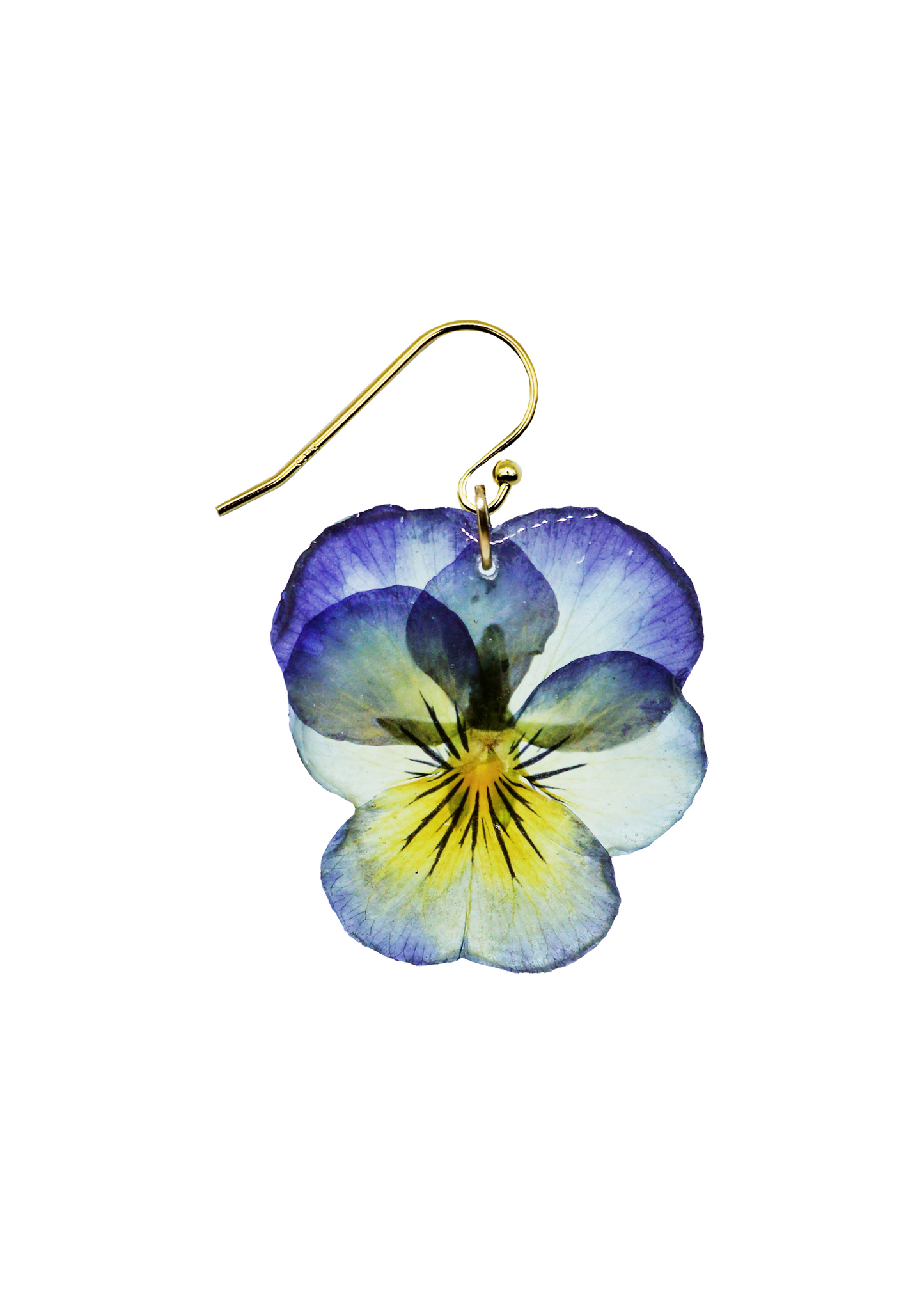 Primrose Pansy
