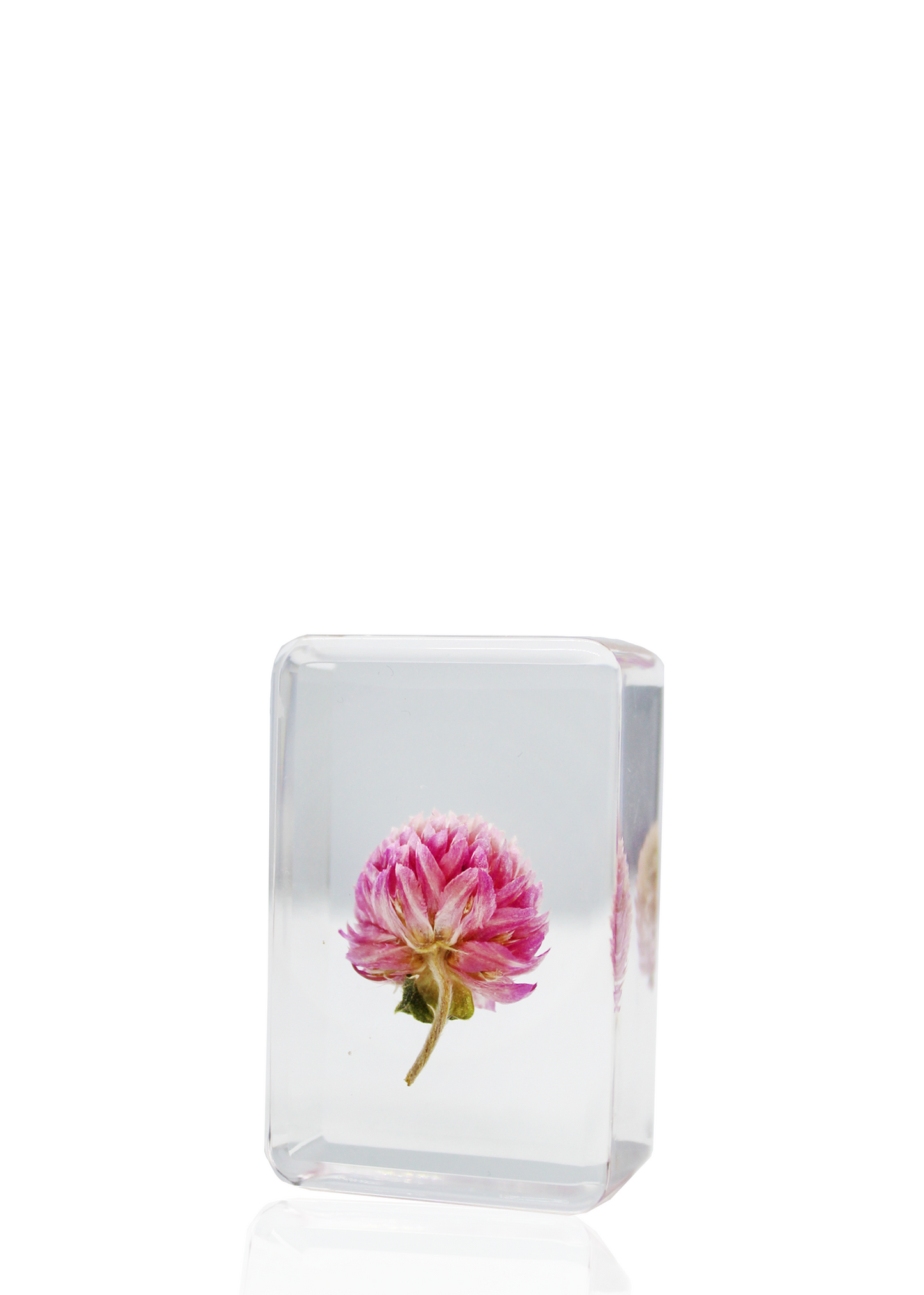 Mini crystal featuring a suspended thistle.