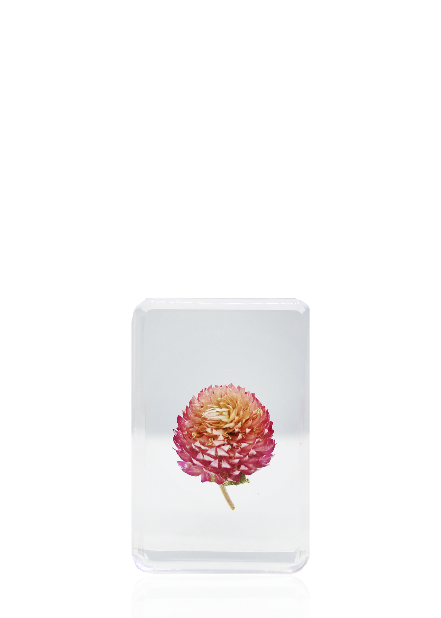 Mini crystal featuring a suspended thistle.