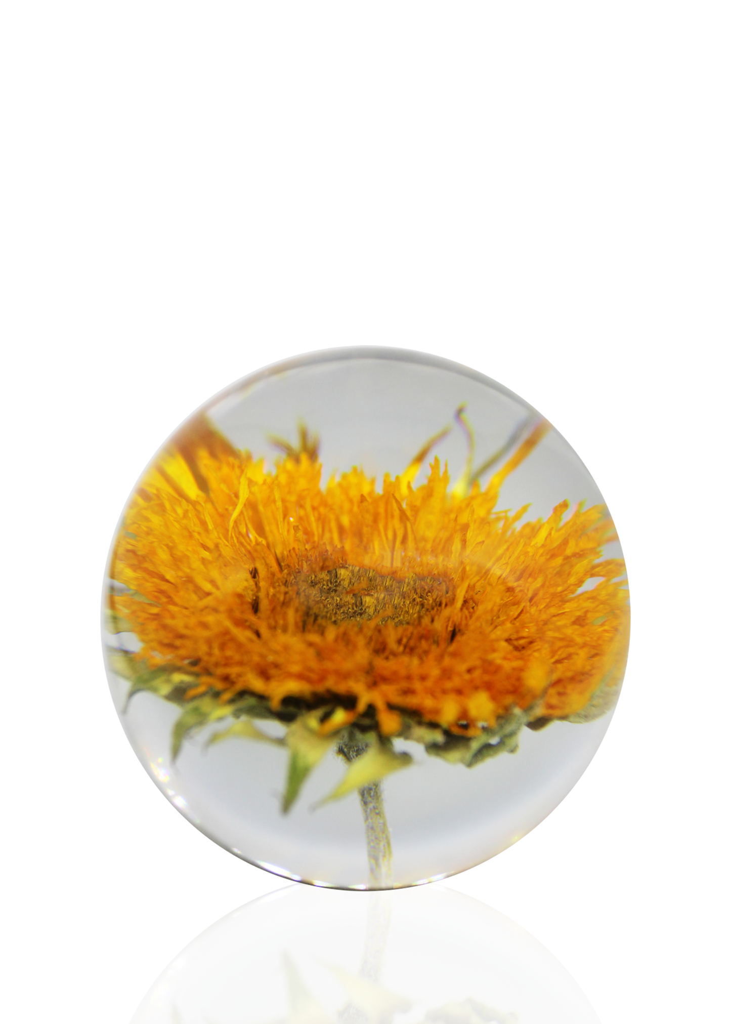 Sunflower Crystal (Pre-order)