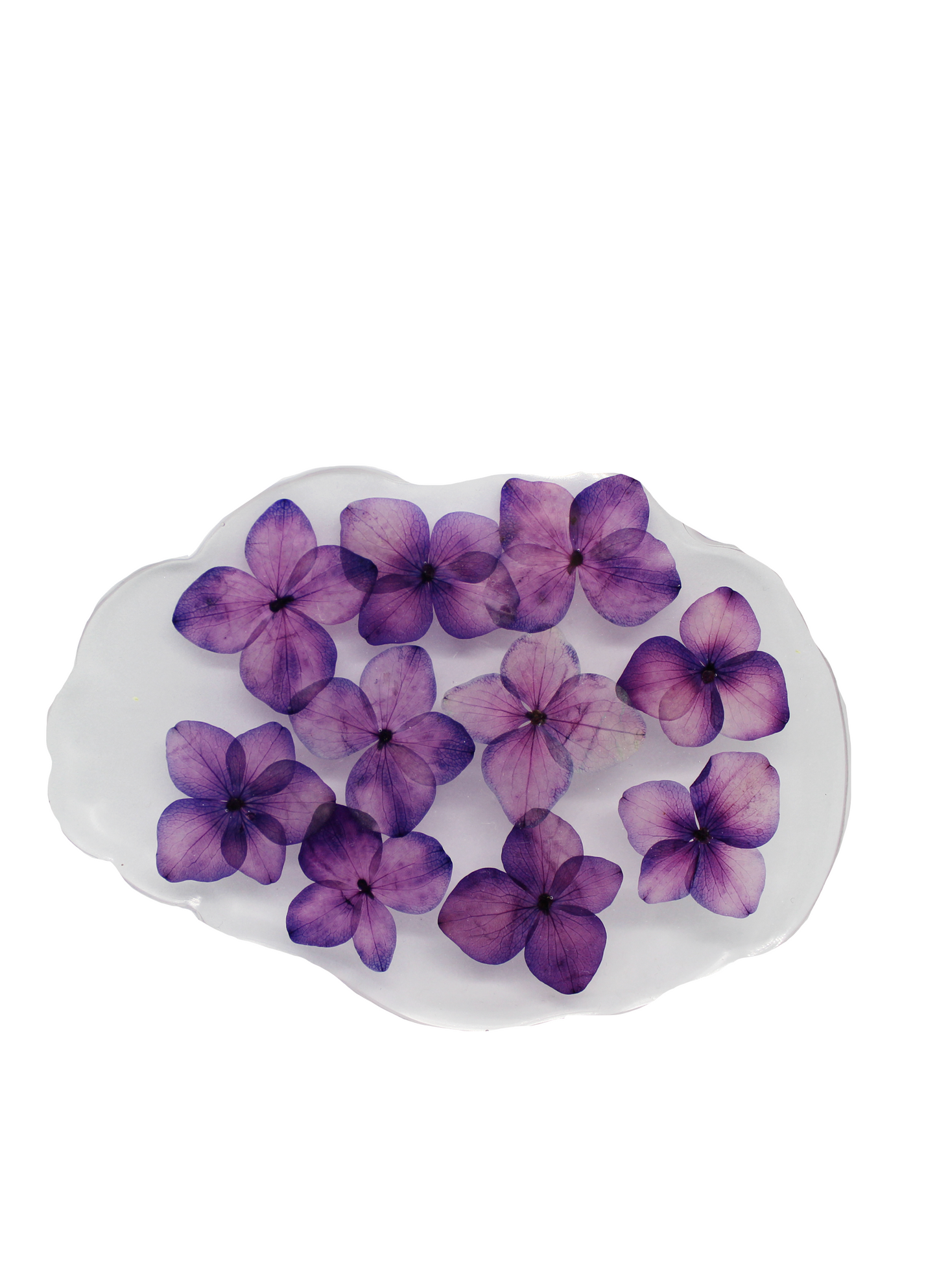 Violet Cloud Coaster