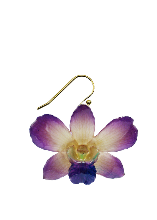 Violette Orchid