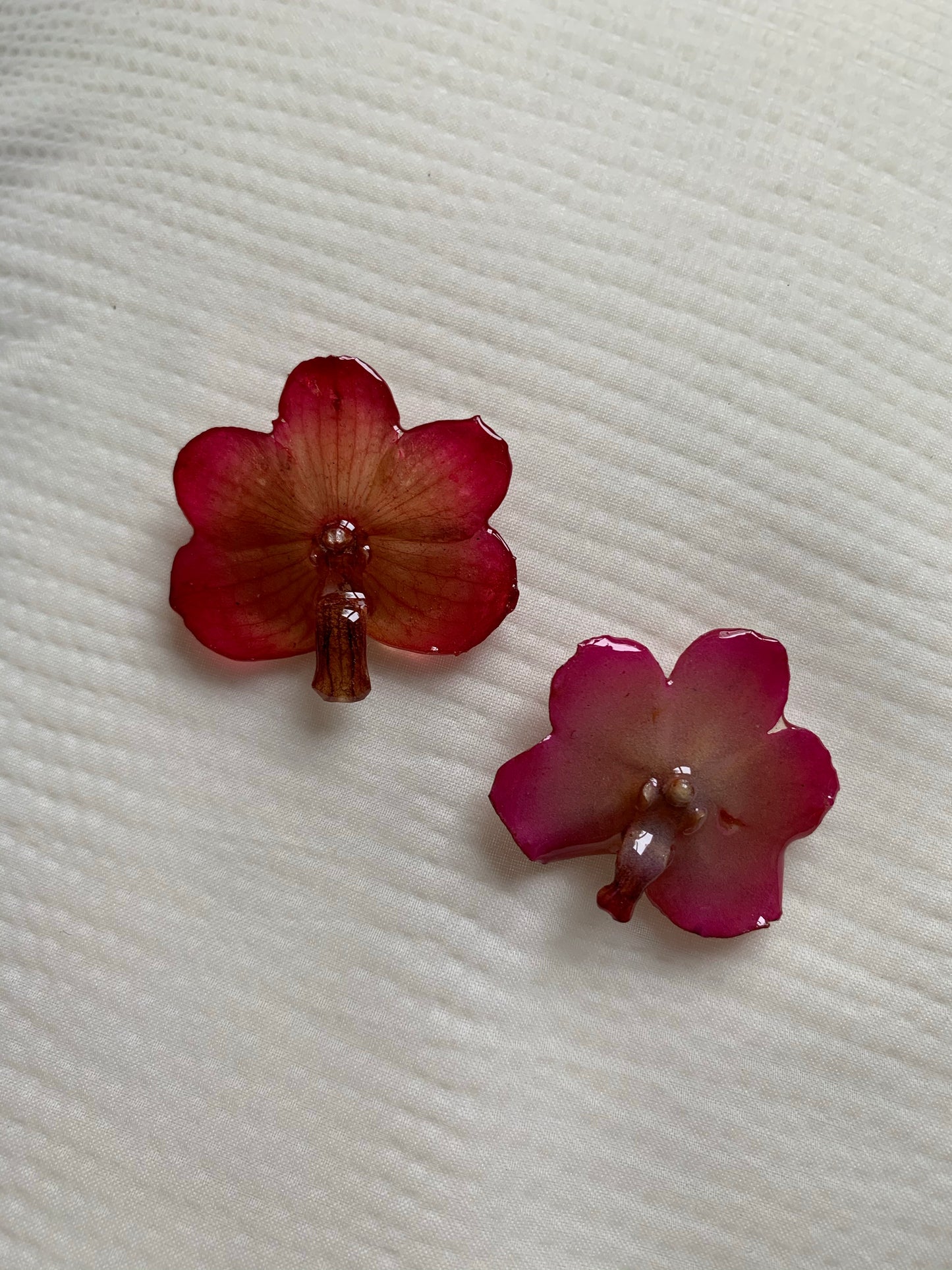 Glow Pink Mini Orchid