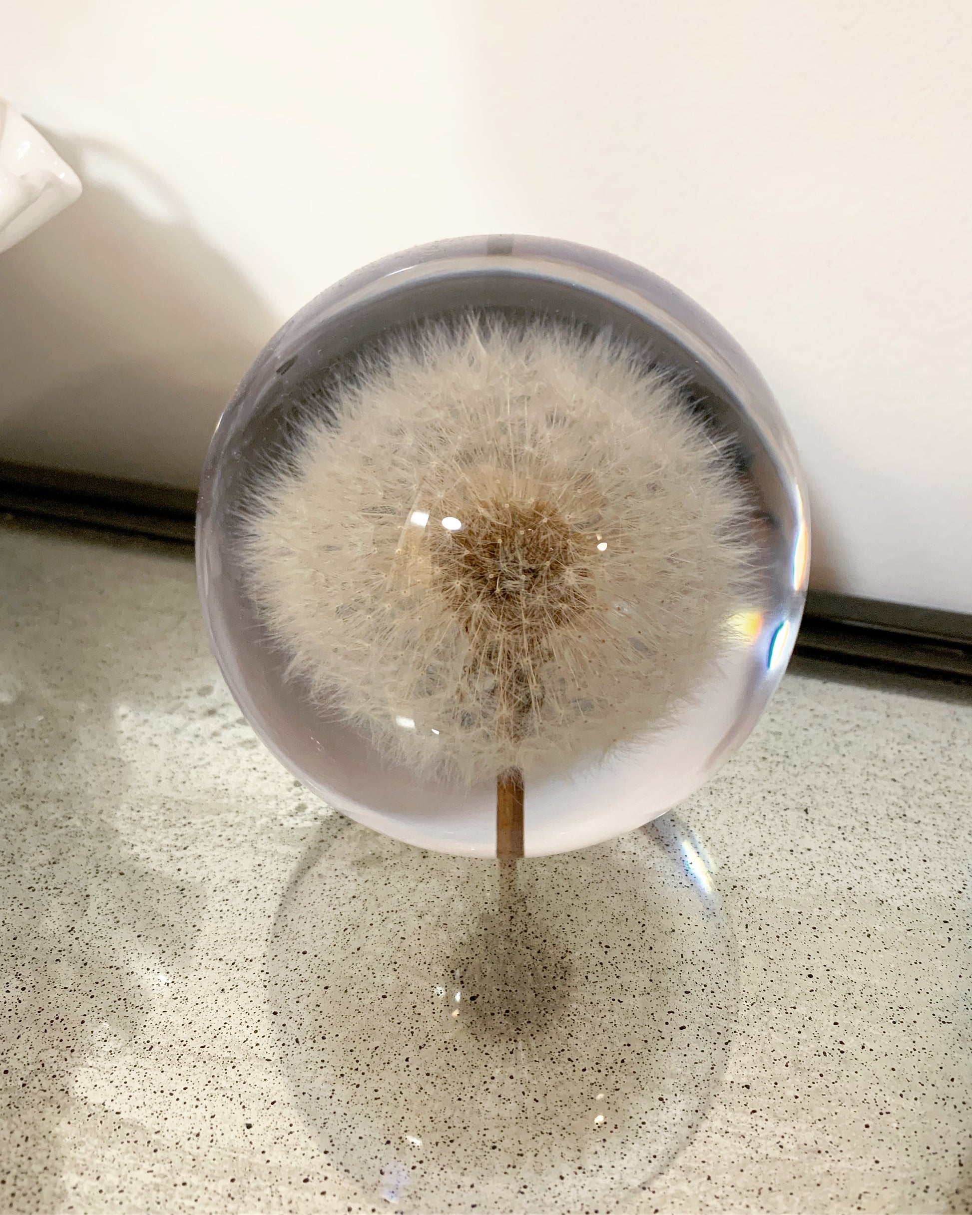 Crystal ball encapsulating a full preserved dandelion
