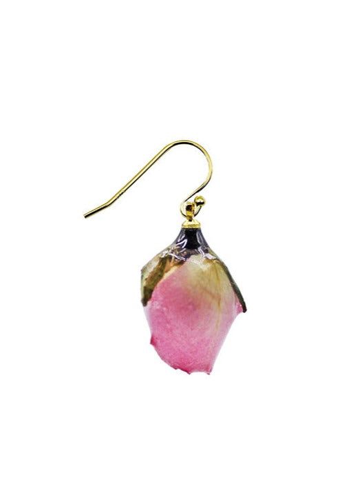 Resin Coated Pink Verona Rosebud on a French Hook Earring