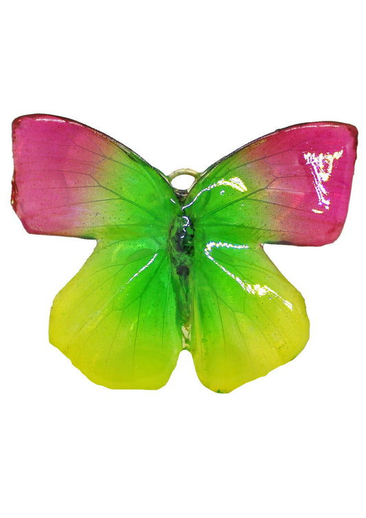 Electric Mariposa