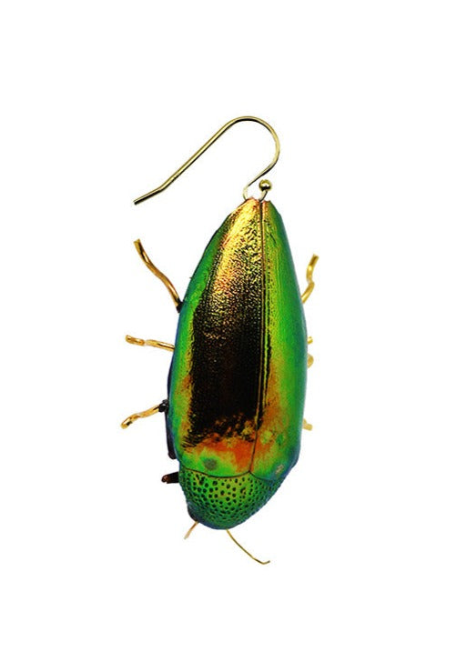 Resin coated shimmery green beetle on French hook earring.