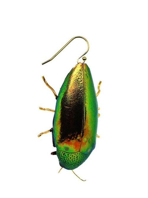 Resin coated shimmery green beetle on French hook earring.