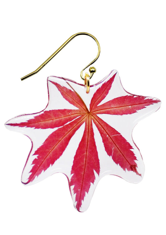 Resin Coated Red Japanese Maple Leaf on a French Hook Earring