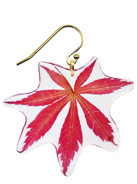 Resin Coated Red Japanese Maple Leaf on a French Hook Earring