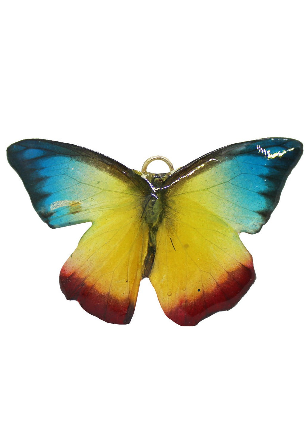 Red, Yellow, Blue, and Black Butterfly preserved in resin.