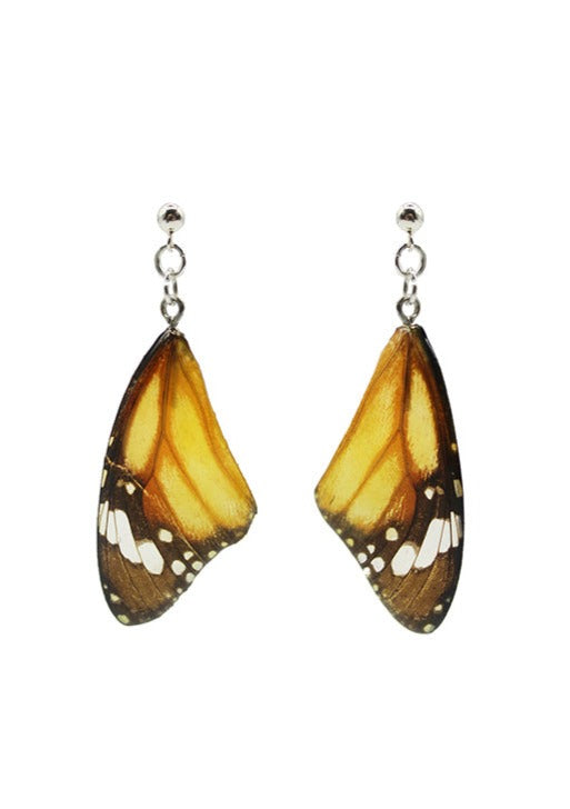 Resin coated yellow and brown monarch butterfly wing on dangly stud earrings.