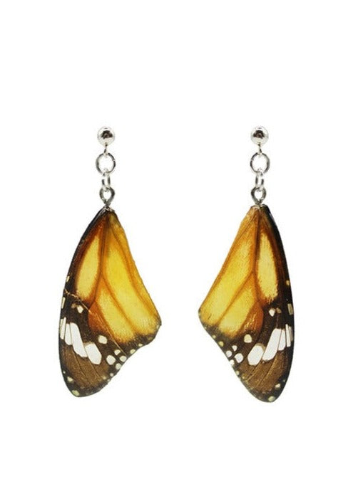 Resin coated yellow and brown monarch butterfly wing on dangly stud earrings.