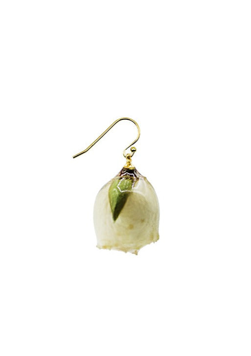 Resin Coated Ivory Rosebud on a French Hook Earring