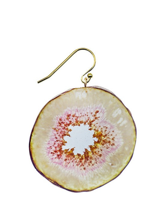 Resin Coated Slice of Fig on a French Hook Earring
