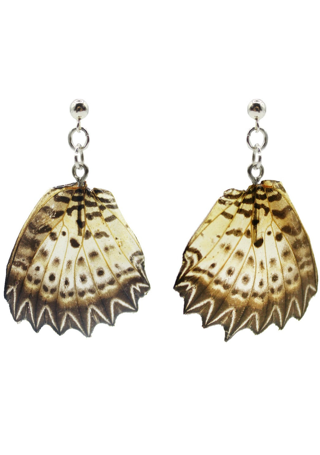 Resin coated grey and white spiky butterfly wing on dangly stud earrings.