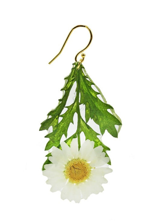 Resin Coated White Daisy with yellow center and Green Stem on a French Hook Earring