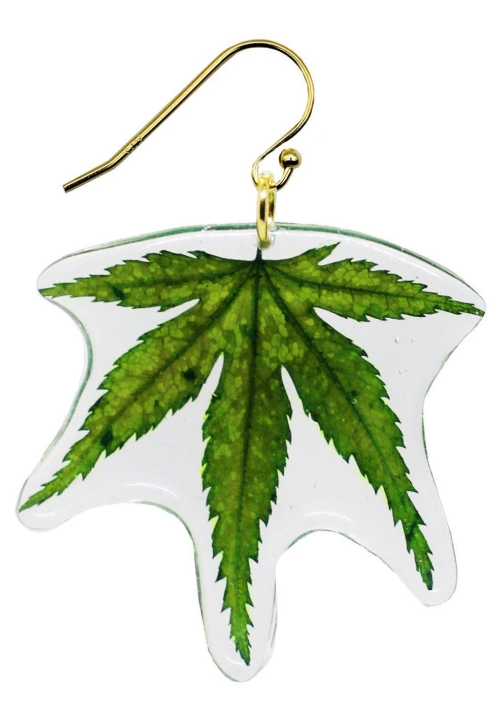 Resin Coated Green Japanese Maple Leaf on a French Hook Earring