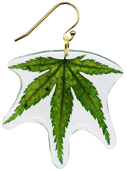 Resin Coated Green Japanese Maple Leaf on a French Hook Earring